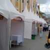 Carpas de segunda - Imagen 6