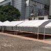 Carpas de segunda - Imagen 5