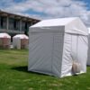 Carpas de segunda